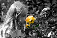 Slideshow 2