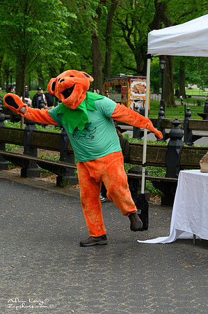 SSB Free Dead in the Park 2025-114