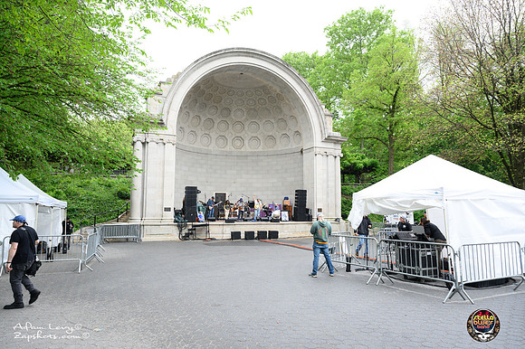 SSB Free Dead in the Park 2025-50