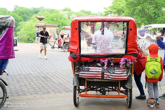 SSB Free Dead in the Park 2025-76